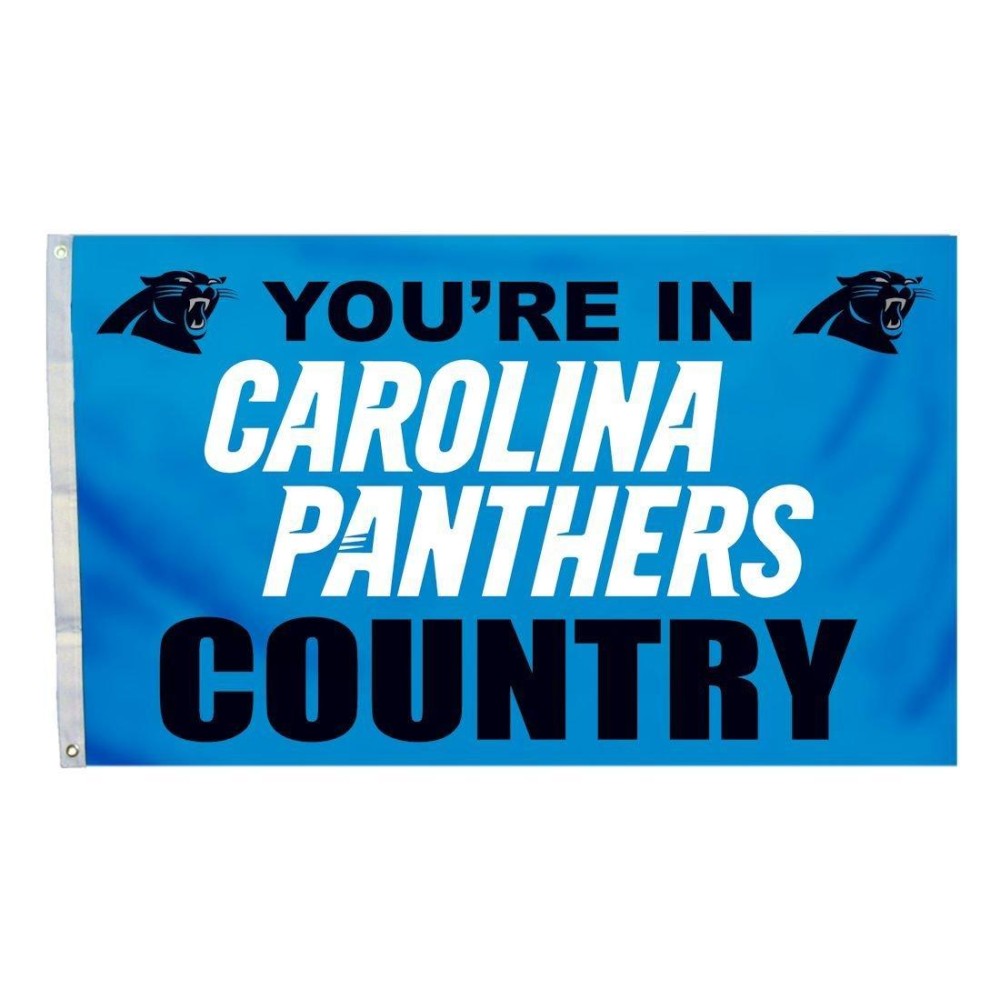 Fremont Die NFL Carolina Panthers 3' x 5' Flag with Grommets, 3 x 5-Foot, In Country