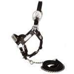 Showman Leather Mini Miniature Horse Size Silver Show Halter. Comes with Leather Lead with Stud Chain.