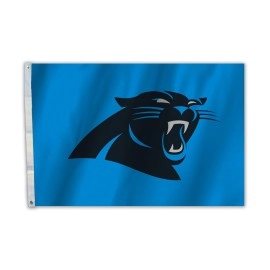 Fremont Die NFL Carolina Panthers All-Pro Flag with Grommets, 2' x 3', Team Colors