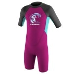 O'Neill Toddler Reactor-2 2mm Back Zip Short Sleeve Spring Wetsuit, Berry/Light Aqua/Graphite, 1