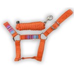 HalterUp Miniature Donkey Halters and Lead Ropes (2 Item Bundle) Available in 10 Colors (Orange, Medium)