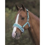 Shires Fleece Lined Lunge Cavesson (X-Full, Blue)