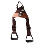 CHALLENGER Horse Saddle Western Kids Child Youth Pony Buddy Stirrups w/Concho 5138CO546