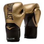 Everlast P00002352 Elite V2 Training Glove Gold 14OZ