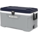 Igloo 00050549 Maxcold Latitude 70 (Ash Gray/Sea/Black)