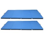 BalanceFrom Fitness GoGym 120x48in Extra Thick Anti Tear High Density All Purpose Aerobic Gymnastics Mat with Velcro Carrying Handles, Blue (2 Pack)