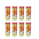 Wilson Championship Synthetic Tennis Balls, |8 Can|24 Balls(3 Balls Can) (Yellow)