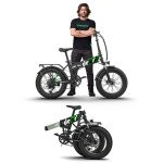 Emotorad Doodle Fat-Tyre Foldable Mountain Electric Cycle, 12.75Ah Removable Battery, Lcd Display & Usb Charging, 5 Levels Of Pedal Assist, Shimano Tourney 7 Speed, 250W Bldc Motor (Black Green)