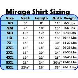 Mirage Pet Products Rich Bitch Rhinestone Pet Shirt, Small, Baby Blue