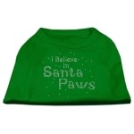 Mirage Pet Products 10-Inch I Believe in Santa Paws Print Shirt for Pets Small Emerald green