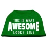 Mirage Pet Products This is What Awesome Looks Like Dog Shirt X-Large Emerald green