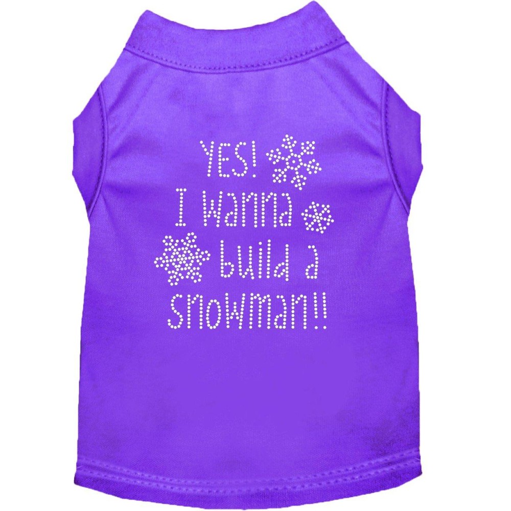 Yes I Want to Build A Snowman Rhinestone Dog Shirt Purple Med 12