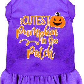 Mirage Pet Product cutest Pumpkin in The Patch Screen Print Dog Dress Purple XXL