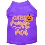 Mirage Pet Product cutest Pumpkin in The Patch Screen Print Dog Shirt Purple XXL