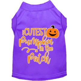 Mirage Pet Product cutest Pumpkin in The Patch Screen Print Dog Shirt Purple XXL