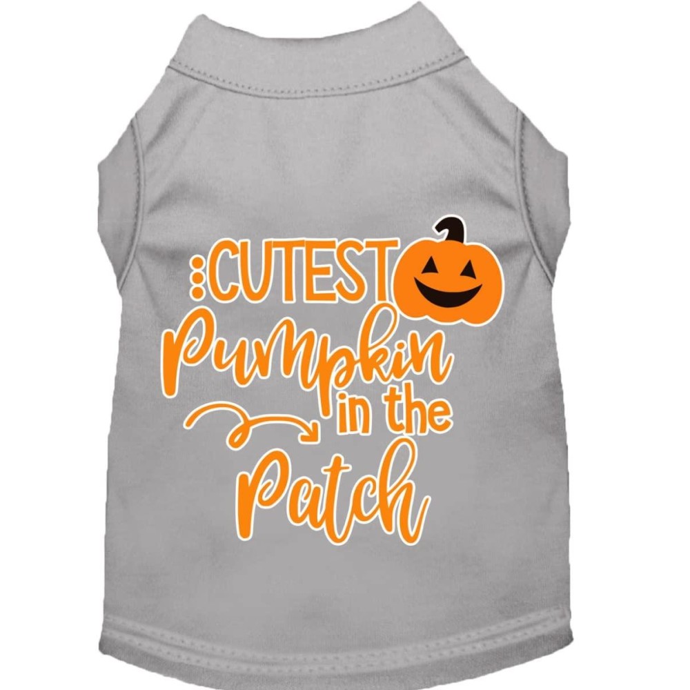 Mirage Pet Product cutest Pumpkin in The Patch Screen Print Dog Shirt grey XXL