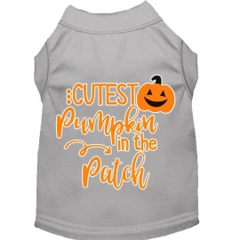 Mirage Pet Product cutest Pumpkin in The Patch Screen Print Dog Shirt grey XXL