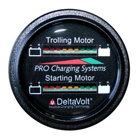 Dual Pro Battery Fuel Gauge For 1 - 36v, 1 -12v Systems
