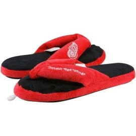 Forever Collectibles NHL Detroit Red Wings 884966225918 Slippers, Team Colors, One Size