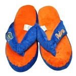 Forever Collectibles NCAA Florida Gators SlippersSlippers, Team Colors, One Size