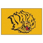 FANMATS 2467 NCAA University of Arkansas at Pine Bluff Starter Mat