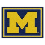 Michigan 8x10 Rug(D0102H5RHPA)