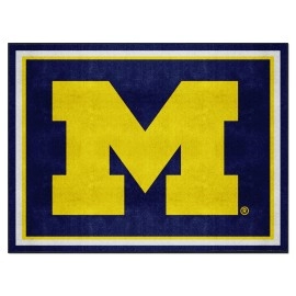 Michigan 8x10 Rug(D0102H5RHPA)