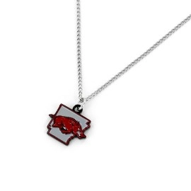 Aminco NCAA Florida Gators Home State Necklace, 4