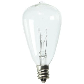 Litex Indoor/Outdoor Clear Incandescent Edison String Light Bulbs
