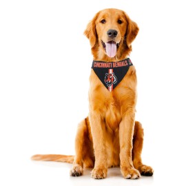 Littlearth Unisex-Adult NFL Cincinnati Bengals Pet Bandana, Team Color, Medium