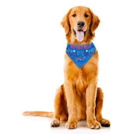 Littlearth Unisex-Adult NFL Buffalo Bills Pet Bandana, Team Color, X-Large