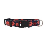 Littlearth Unisex-Adult NCAA Auburn Tigers Pet Collar, Team Color, Large