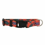 Littlearth Unisex-Adult NCAA Florida Gators Pet Collar, Team Color, Medium