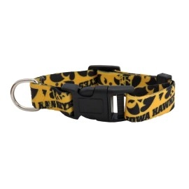 Littlearth Unisex-Adult NCAA Iowa Hawkeyes Pet Collar, Team Color, Large