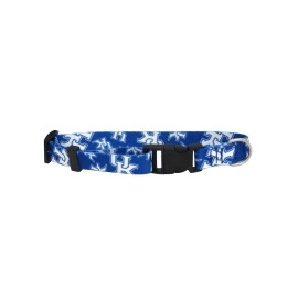 Littlearth Unisex-Adult NCAA Kentucky Wildcats Pet Collar, Team Color, Medium