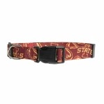 Littlearth Unisex-Adult NCAA Iowa State Cyclones Pet Collar, Team Color, Large (120101-IASU-L)