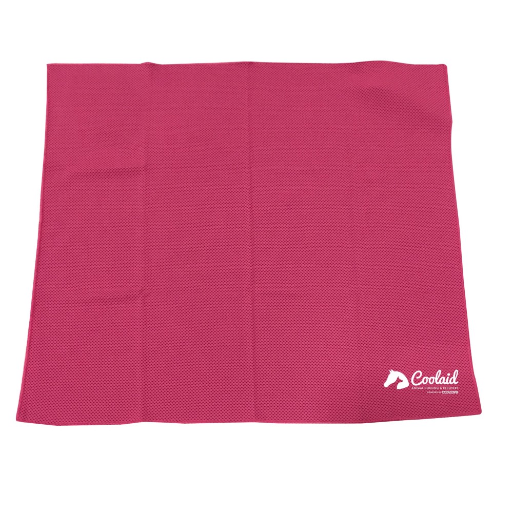 Canine Cooling Medium Dog Bandana - 18