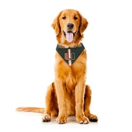 Littlearth Unisex-Adult NCAA Miami Hurricanes Pet Bandana, Team Color, X-Large