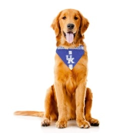 Littlearth Unisex-Adult NCAA Kentucky Wildcats Pet Bandana, Team Color, Medium