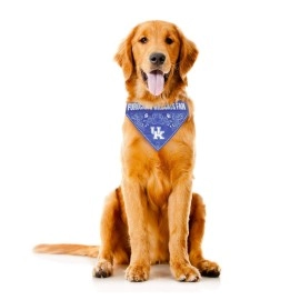 Littlearth Unisex-Adult NCAA Kentucky Wildcats Pet Bandana, Team Color, Medium