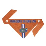 Littlearth Unisex-Adult NCAA Florida Gators Pet Bandana, Team Color, Large