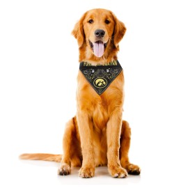 Littlearth Unisex-Adult NCAA Iowa Hawkeyes Pet Bandana, Team Color, Large