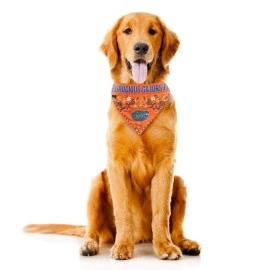 Littlearth Unisex-Adult NCAA Florida Gators Pet Bandana, Team Color, Small