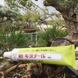 Kiyonal New Bonsai Pruning Cutting Paste 100g Made in Japan