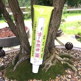 Kiyonal New Bonsai Pruning Cutting Paste 100g Made in Japan