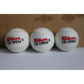 Wilson Championship Tennis Balls - Can