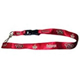 Arizona Diamondbacks Lanyard Breakaway with Key Ring Style