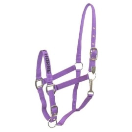 Gatsby I Love My Horse Nylon Halter