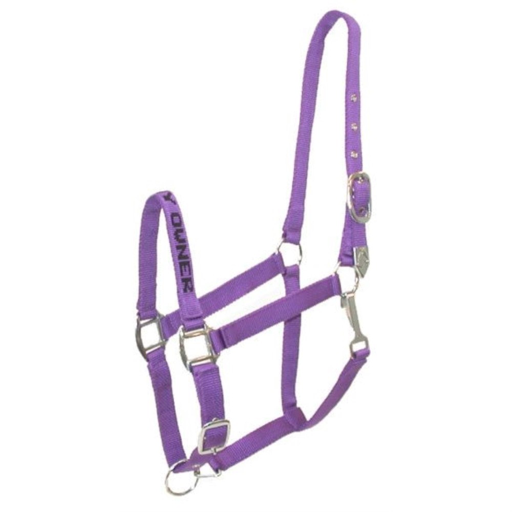 Gatsby I Love My Owner Nylon Halter