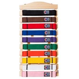 Ten Level Martial Arts Karate Belt Display